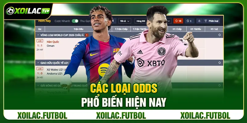 Các loại odds phổ biến hiện nay