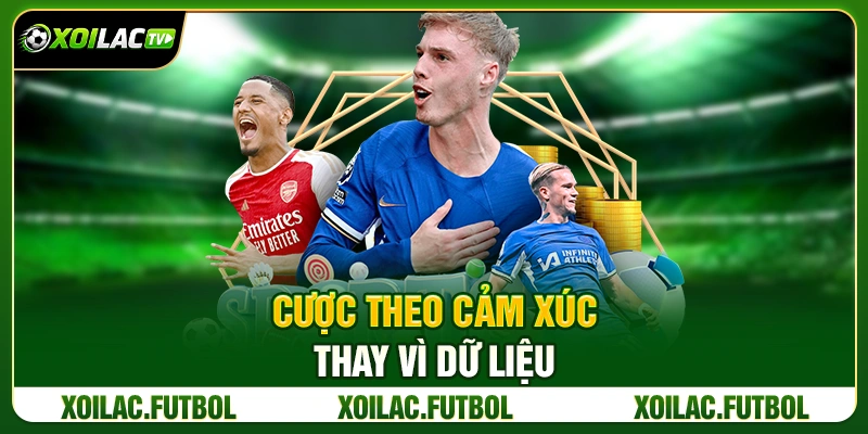 Cược Theo Cảm Xúc Thay Vì Dữ Liệu