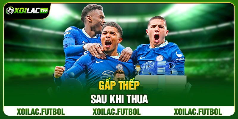 Gấp Thếp Sau Khi Thua