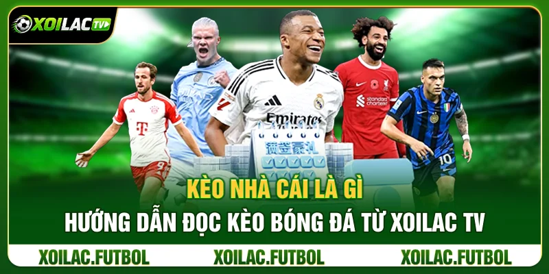Kèo Nhà Cái Là Gì? Hướng Dẫn Đọc Kèo Bóng Đá Từ Xoilac TV