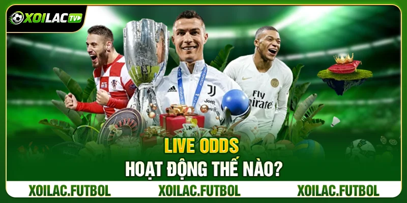 Live Odds Hoạt Động Thế Nào?