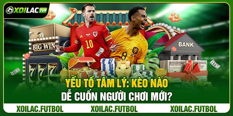 Yếu Tố Tâm Lý: Kèo Nào Dễ Cuốn Người Chơi Mới?